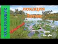 Русская рыбалка 4 - река Ахтуба - Толстолобик трофейный в кувшинках