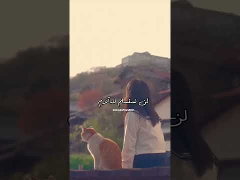 لو سرقت منا الايام