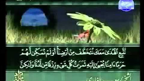ختمة الشيخ سعد الغامدي 28 سورة القصص
