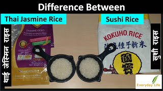 Thai Jasmine Rice Vs Sushi Rice | Thai Rice | थाई जेस्मिन vs सुशी राइस | Everyday Life #98