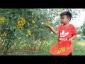 Seyhak Enjoy To Pick Yellow Flower For Our Recipe / Prepare Nutritious Food For Lunch