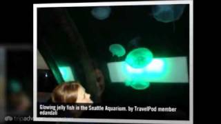 Seattle Aquarium - Seattle, Washington, United States