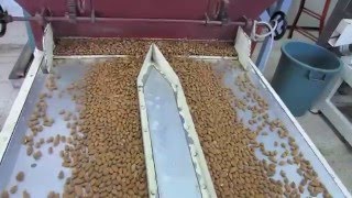 SEA - Almonds optical sorting - Selezione ottica mandorle