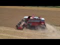 Búza aratás 2020 / Massey Ferguson 7274 / Harvest 2020