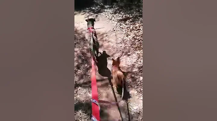 Hiking with the kids
