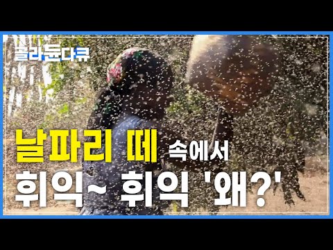 심상치 않은 음식을 먹는 아프리카 부족┃세계테마기행┃#골라듄다큐