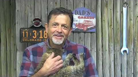 Building Positive Relationships with Students