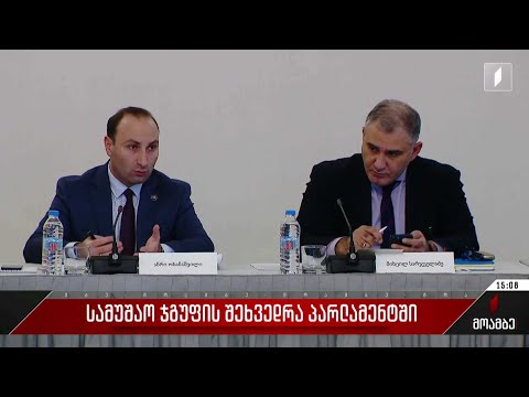 სამუშაო ჯგუფის შეხვედრა პარლამენტში