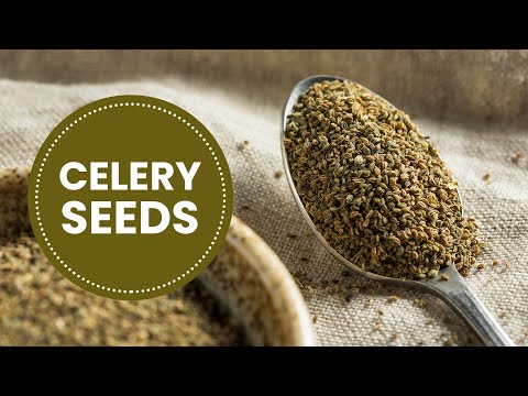 When To Add Celery Seed To Soup