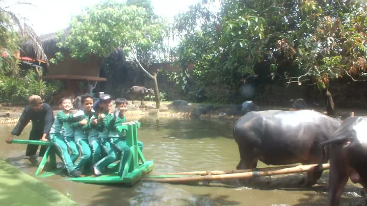 Outbond Pelita Desa Ciseeng Parung @CisadaneCommunity #mialmubarok  #panunggangan  #pinang
