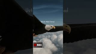 Jangan Spelekan Fisik Seseorang    Yang Dilihat  Hati Dan Amal Soleh