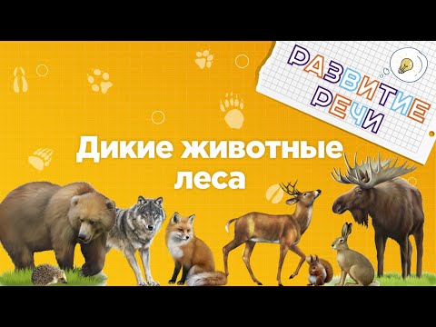 Занятия для дошкольников | Развитие речи | Тема: Дикие животные леса