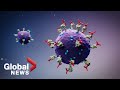 Could mRNA vaccines be used to combat other diseases like cancer?