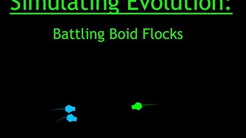 Devlog: Flocking, Evolving, Fighting Boids