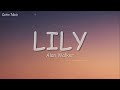 Alan Walker, K-391 & Emelie Hollow - Lily (Lyrics)