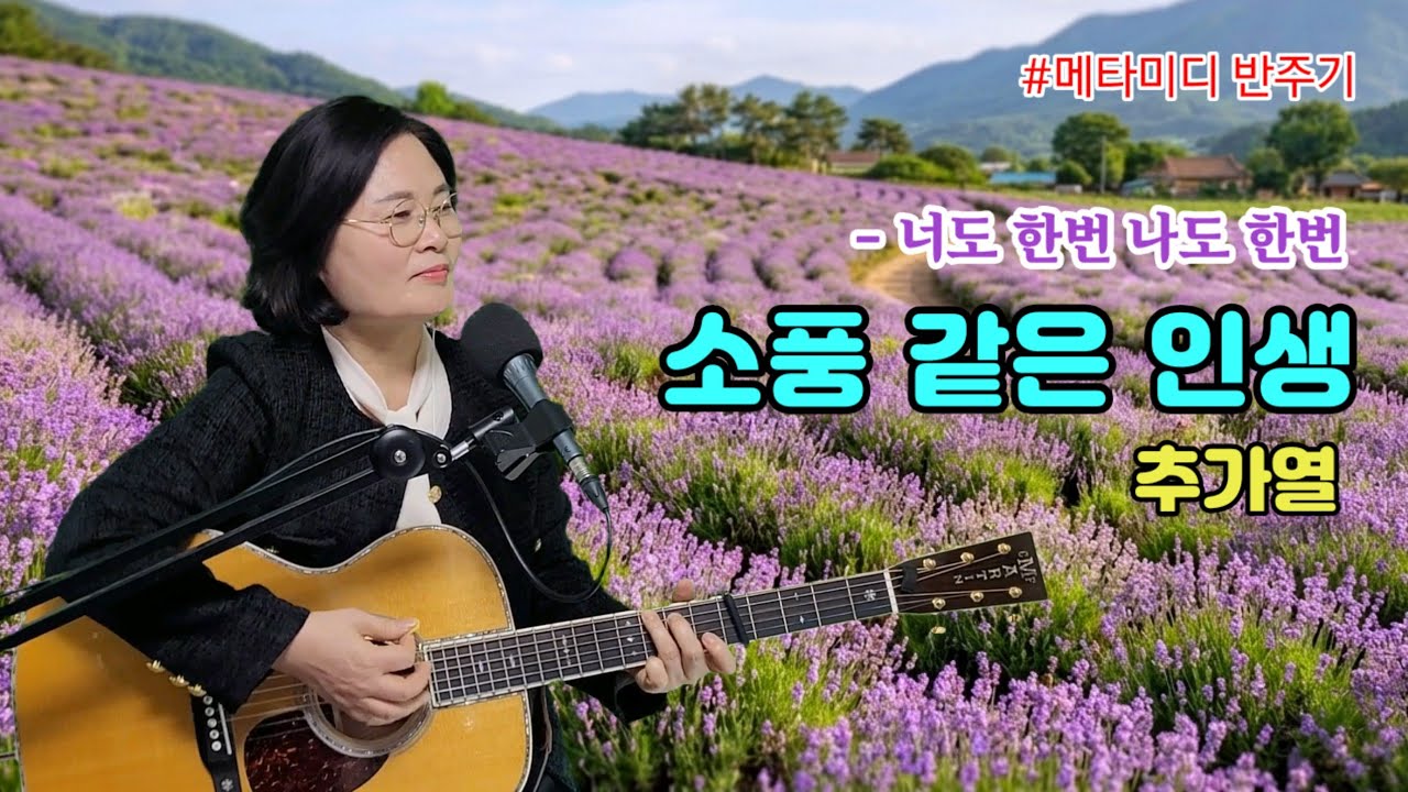 소풍같은 인생(추가열)cover by 채정숙 #메타미디usb멜로디스타반주기 사용