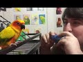 Middle of video
