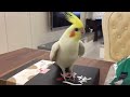 End of video