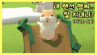 햄스터 빌리지 [힐링 되는 햄스터 키우기 게임, 동물의 숲 햄스터 버전] Hamster Village [Healing Hamster Raising Game] screenshot 3