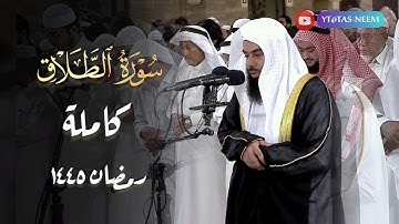 سورة الطلاق كاملة بصوت الشيخ أنس العمادي رمضان 1445 هـ