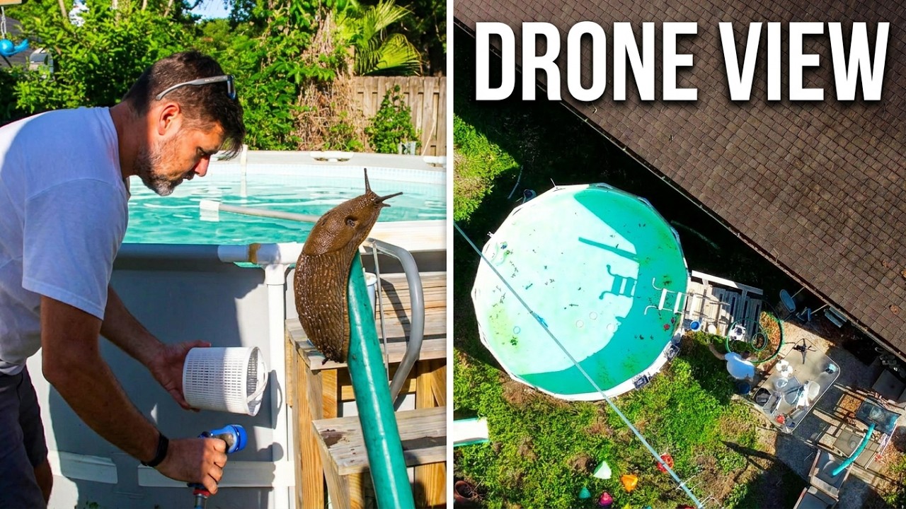 Giant Slugs, Basic Pool Maintenance - while flying a drone... - YouTube