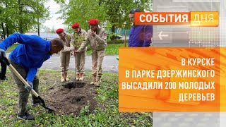 В Курске в парке Дзержинского высадили 200 молодых деревьев