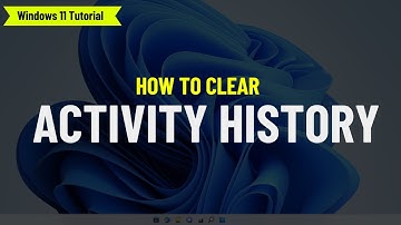 How to Clear Activity History on Windows 11 ✅