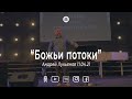 Андрей Лукьянов "Божьи потоки"