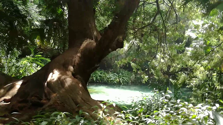 Il Bagno di Venere. Reggia di Caserta.