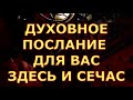 ДУХОВНОЕ ПОСЛАНИЕ ДЛЯ ВАС ЗДЕСЬ И СЕЙЧАС гадания карты таро любви сегодня