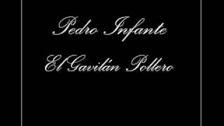Pedro Infante - El Gavilan Pollero chords