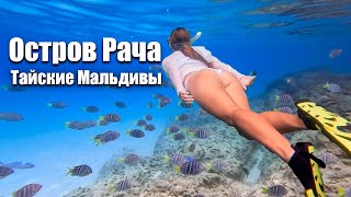 видео: Сбежали с Пхукета на остров Рача. Лучшие острова Таиланда. Экскурсия на остров Рача и Корал. Пхукет картинка: Сбежали с Пхукета на остров Рача. Лучшие острова Таиланда. Экскурсия на остров Рача и Корал. Пхукет