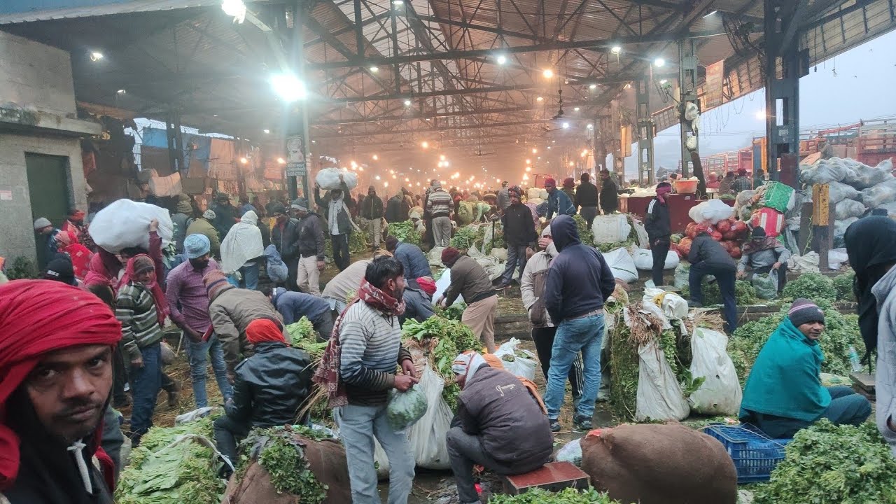 छोटा होलसेल रेट 5 किलो वाला 