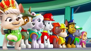 PAW Patrol Marshall | New Episodes Full Episodes Compilation