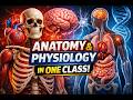 Human Body Systems Explained | Anatomy & Physiology Lecture|Complete Guide|Human Body Sys Explained