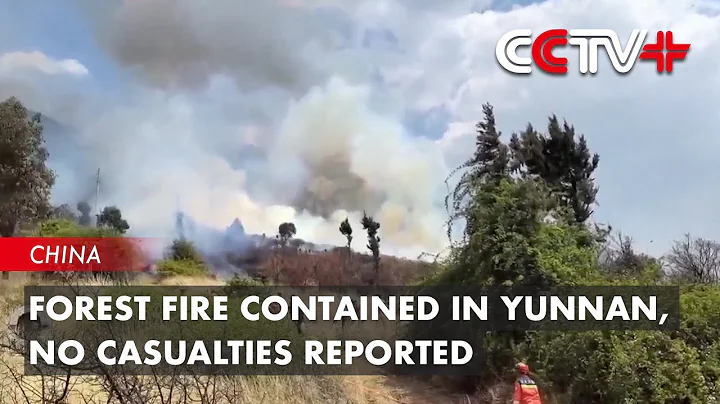 Forest Fire Contained in China's Yunnan, No Casualties Reported - DayDayNews