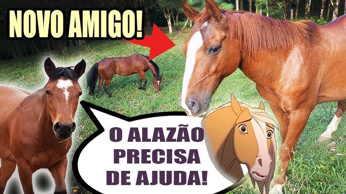 Há uma mulher montando um cavalo pulando sobre um obstáculo