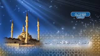 سورة الفيل | بصوت الشيخ أحمد محمد الطاهر