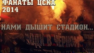 Фанаты ЦСКА в 2014 году