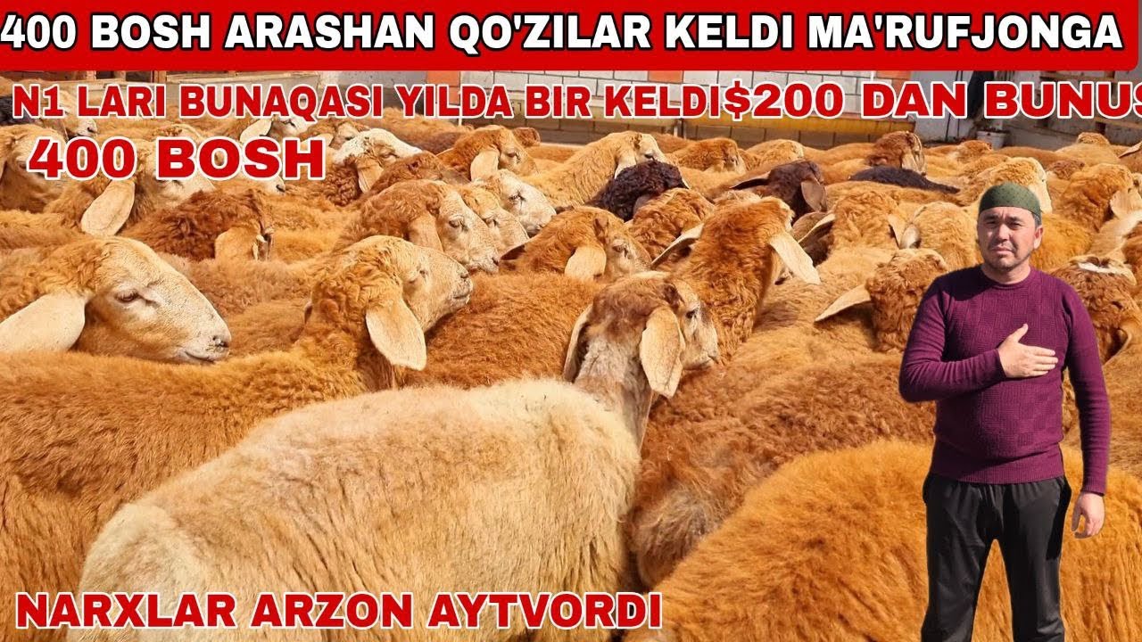 Xotin erini porno video bilan hayratda qoldirdi. Mi mil dan porno