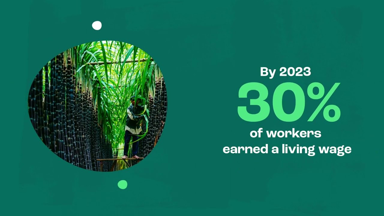 Wage data supports strong collective bargaining in Nicaragua's Sugar Cane  Industry: CNV International and Bonsucro - IDH - the Sustainable Trade  Initiative