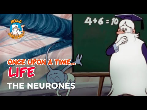The Neurones