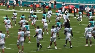 Dolphins 2026 Stadium Practice -Training Camp at Hard Rock Stadium #football #nfl #miami #football 