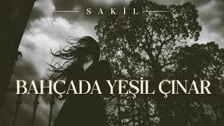 Bahçada Yeşil Çınar Anatolian Rock - Sakil