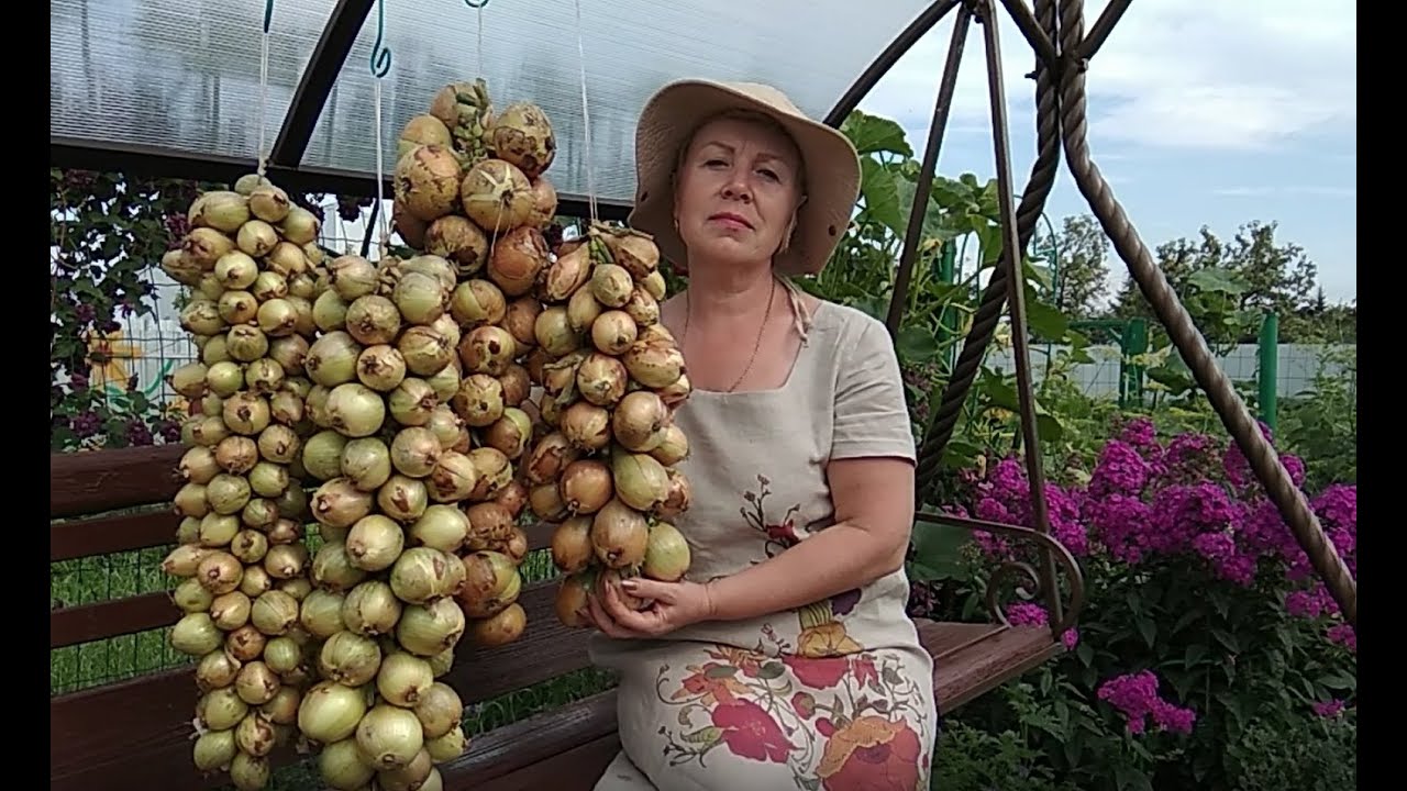 36 стр.  Луковое счастье- 3 косы Тюменский огород
