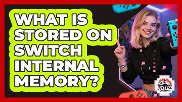 What Is Stored On Switch Internal Memory?