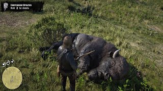 Red Dead Redemption 2 - Hunting A Bison With Charles Mission (PS4 PRO)