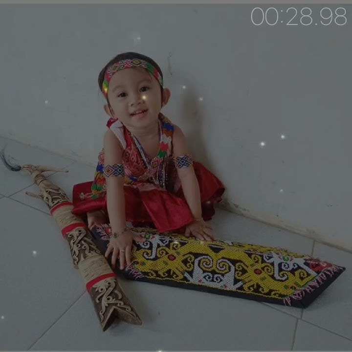 TERBARU!!! Story WA DAYAK || INSTRUMEN MUSIC SAPE DAYAK KALIMANTAN