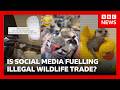 New video by BBC News on YouTube