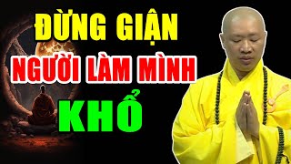 Đừng giận người làm mình khổ - Pháp Thoại Thích Thiện Thuận